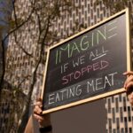 plant-based diets