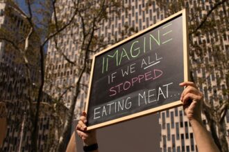 plant-based diets