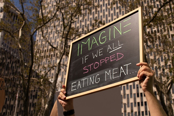 plant-based diets