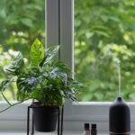 Indoor air quality