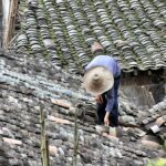Roof Inspections