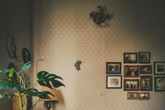 cozy living room tips